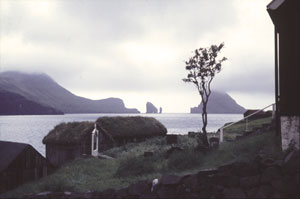 Lille Muko på Færøerne
